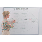 fishbone chart whiteboard