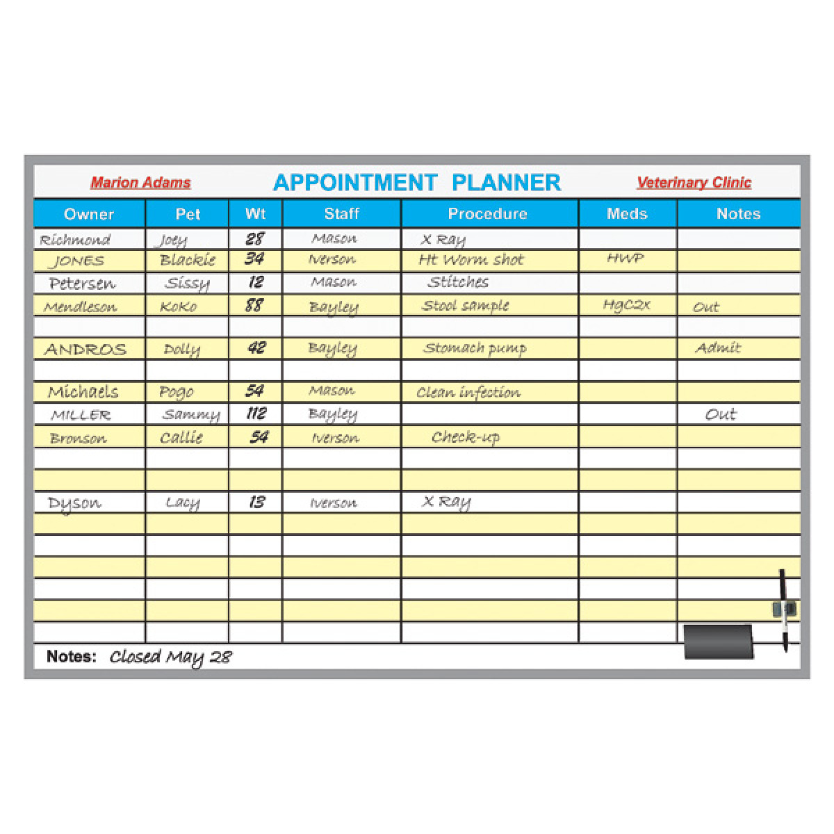 Veterinary Appointment Planner Whiteboard Concepts